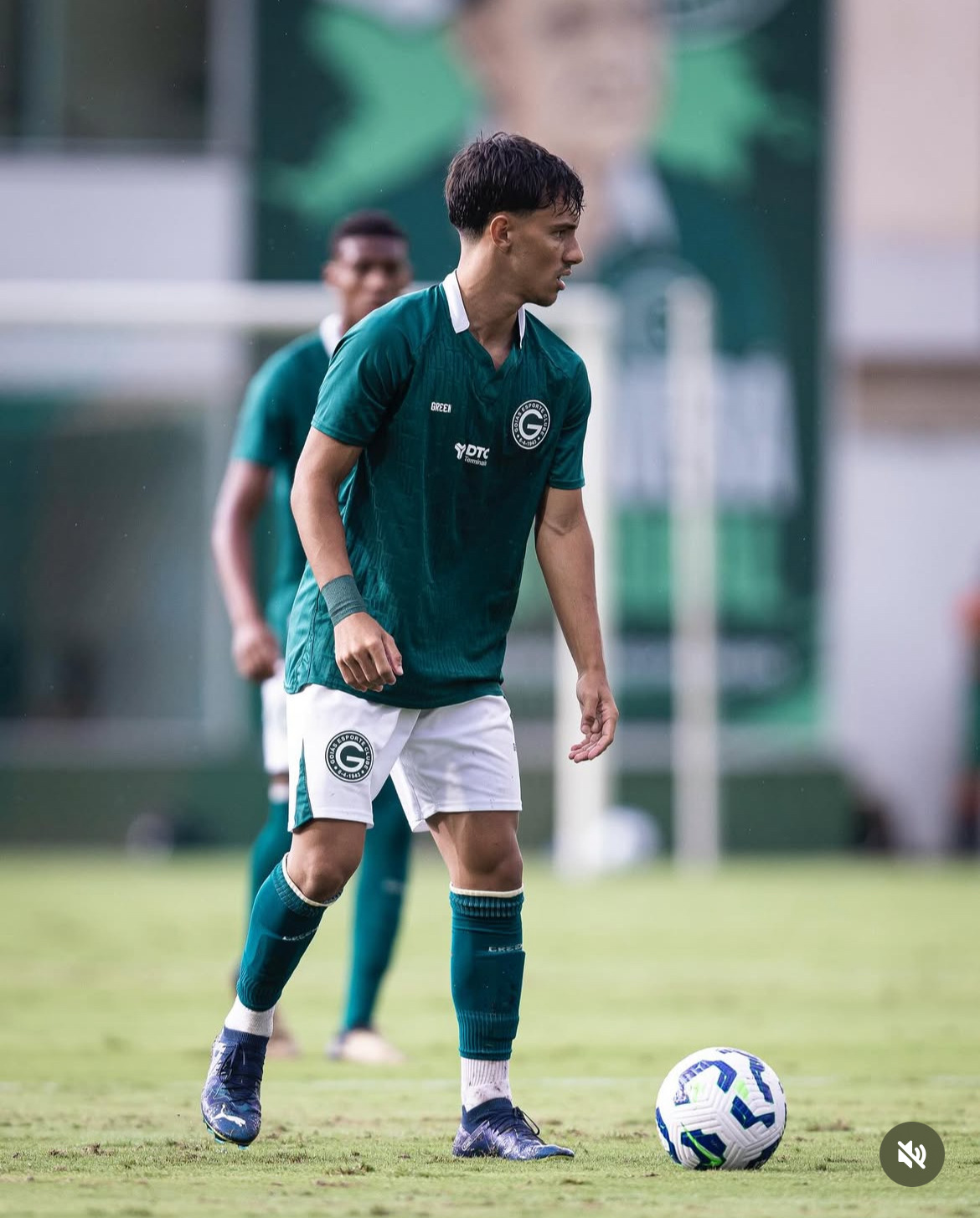 Vitor Fonseca - Meia